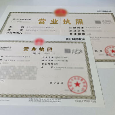 在望牛墩內資公司注冊代辦哪家