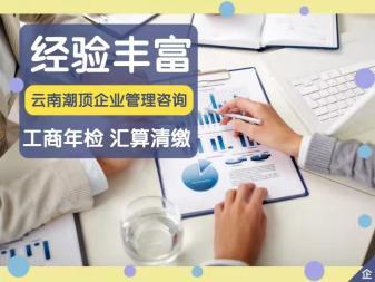 代理記賬 財稅服務(wù) 注冊公司提供地址 公司變更 內(nèi)資公司注冊 注銷公司